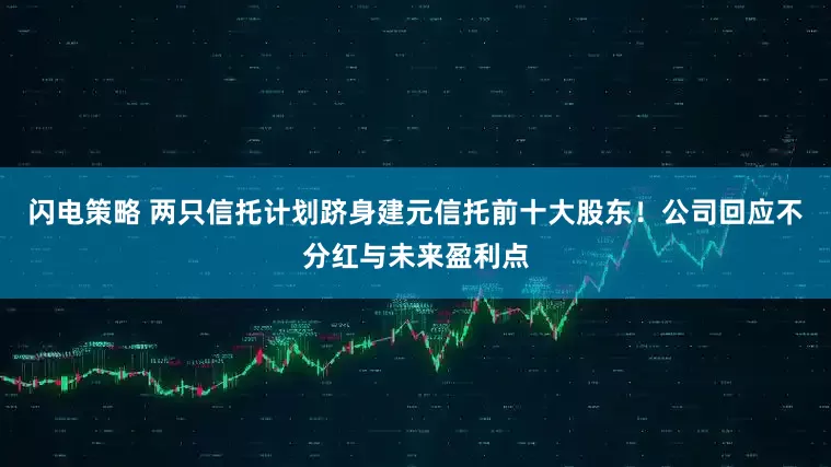 闪电策略 两只信托计划跻身建元信托前十大股东！公司回应不分红与未来盈利点