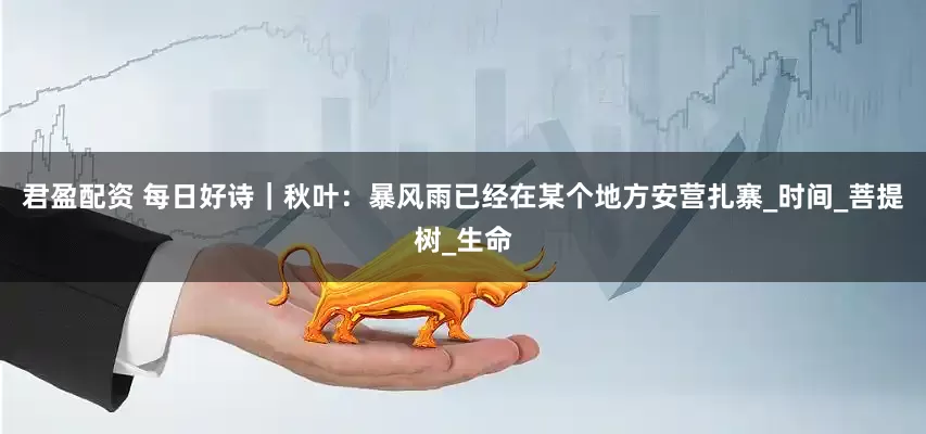 君盈配资 每日好诗｜秋叶：暴风雨已经在某个地方安营扎寨_时间_菩提树_生命
