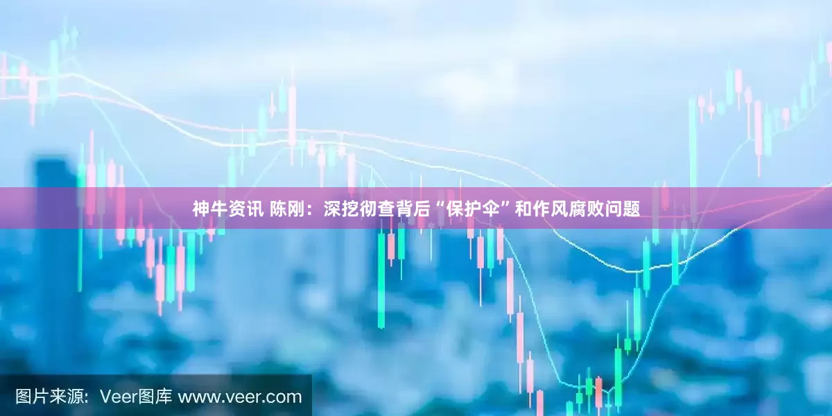 神牛资讯 陈刚：深挖彻查背后“保护伞”和作风腐败问题