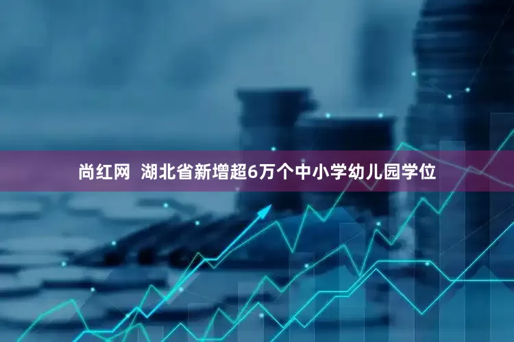 尚红网  湖北省新增超6万个中小学幼儿园学位