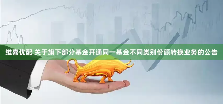 维嘉优配 关于旗下部分基金开通同一基金不同类别份额转换业务的公告