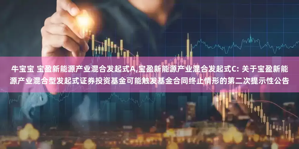 牛宝宝 宝盈新能源产业混合发起式A,宝盈新能源产业混合发起式C: 关于宝盈新能源产业混合型发起式证券投资基金可能触发基金合同终止情形的第二次提示性公告