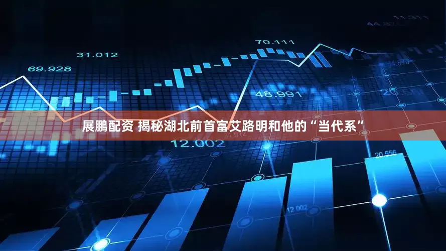 展鵬配资 揭秘湖北前首富艾路明和他的“当代系”