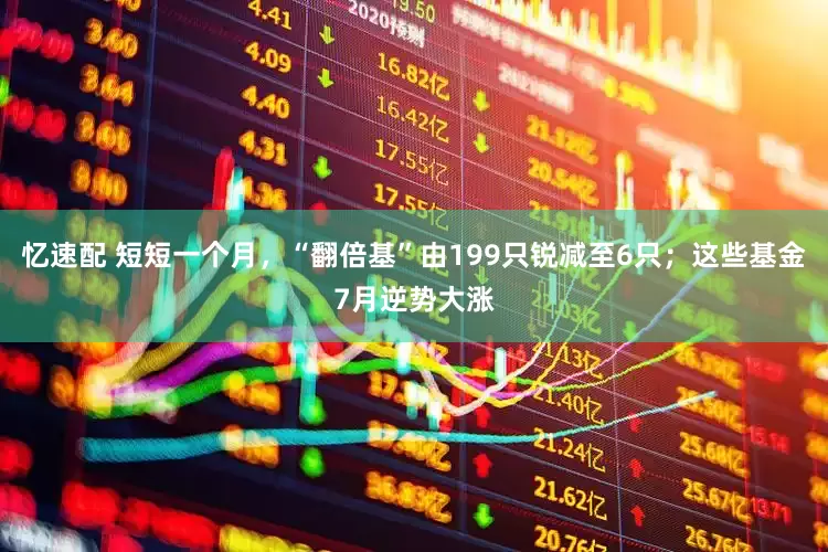 忆速配 短短一个月，“翻倍基”由199只锐减至6只；这些基金7月逆势大涨